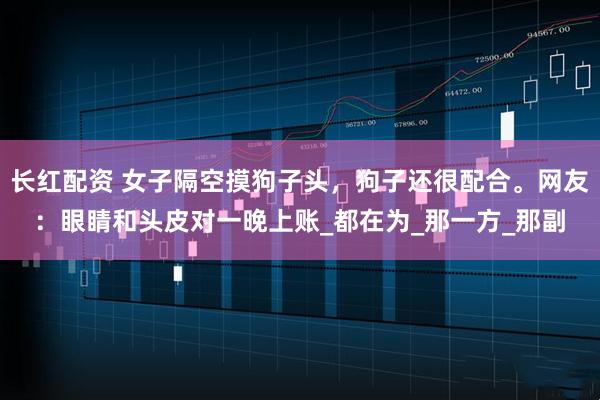 长红配资 女子隔空摸狗子头，狗子还很配合。网友：眼睛和头皮对一晚上账_都在为_那一方_那副