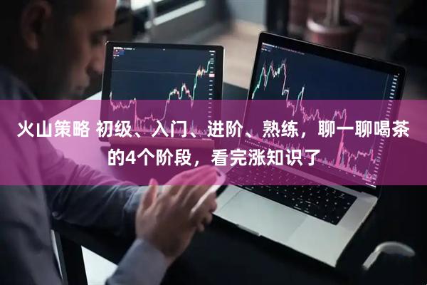 火山策略 初级、入门、进阶、熟练，聊一聊喝茶的4个阶段，看完涨知识了