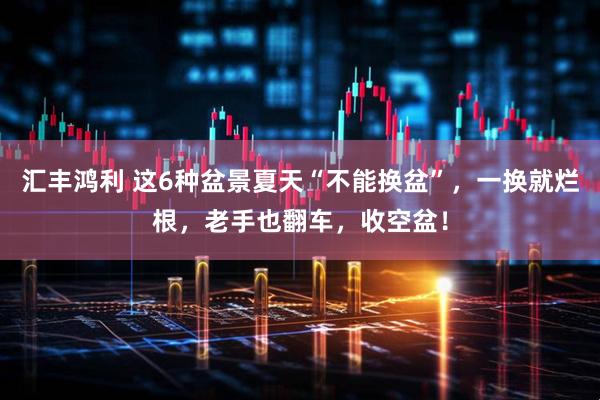 汇丰鸿利 这6种盆景夏天“不能换盆”，一换就烂根，老手也翻车，收空盆！