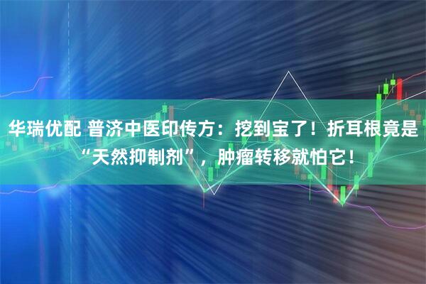 华瑞优配 普济中医印传方：挖到宝了！折耳根竟是 “天然抑制剂”，肿瘤转移就怕它！
