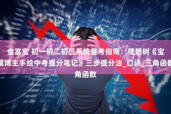 金富宝 初一初二初三系统备考指南：理想树《宝藏博主手绘中考提分笔记》三步提分法_口诀_三角函数